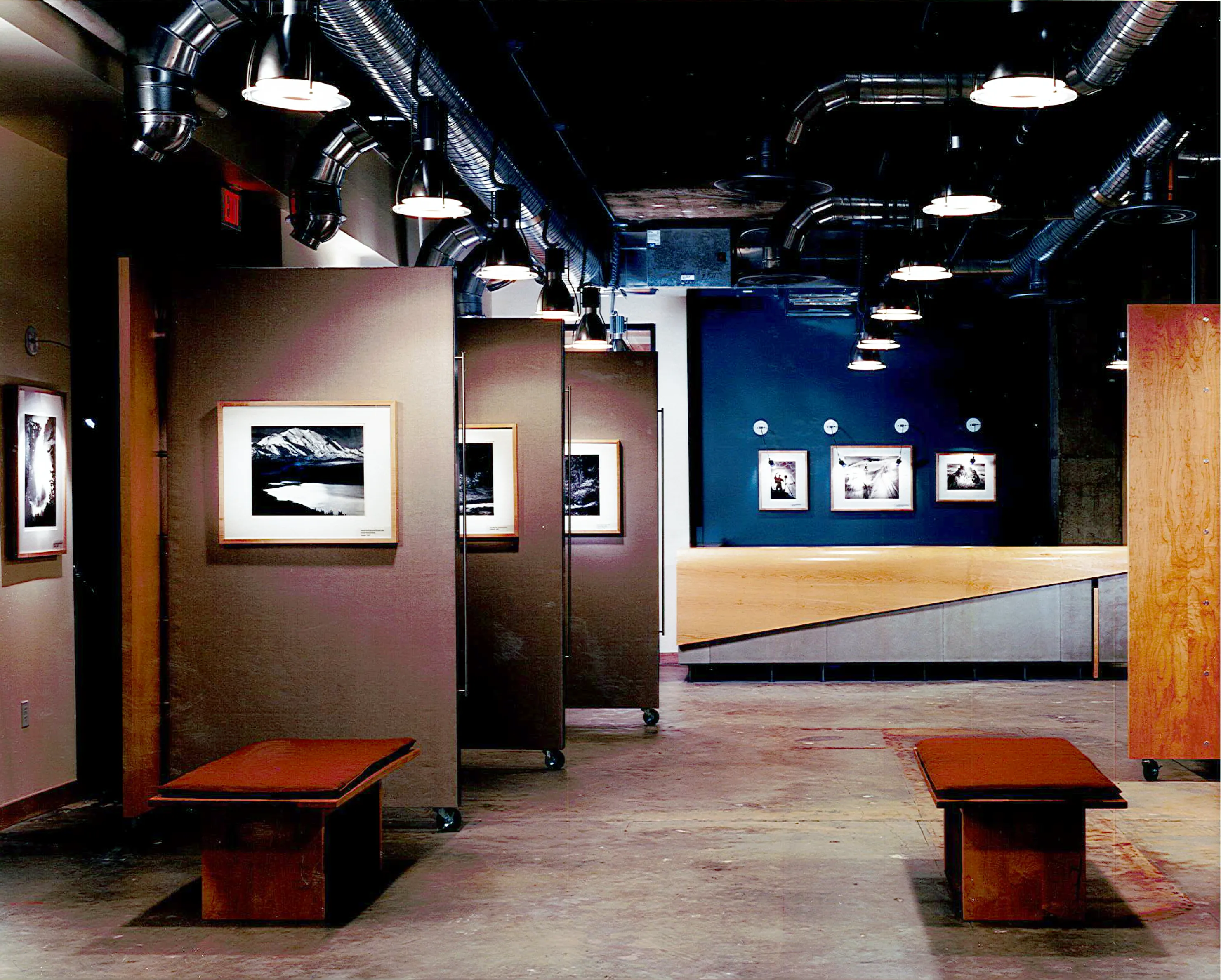 wilderness society 5